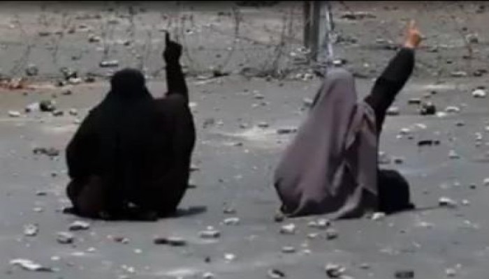 بالفيديو رائعة في وجه من ترفع سلاحك إهداء للجيش المصري