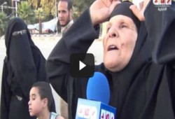 بالفيديو الشعب المصري ببساطته سيدة عجوز إعلام مضلل وسيسي خائن خربوا البلد