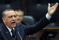 أردوغان يستغرب يمين السيسي .. وكذب البرادعي !