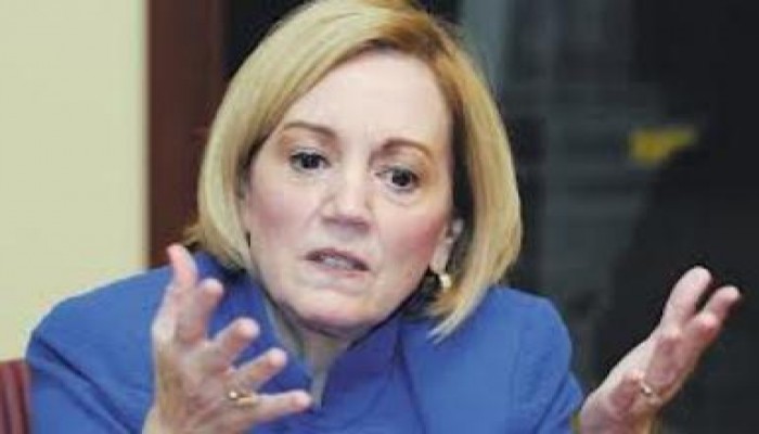 (فضيحة): قوات أمن أمريكية بمصر لتأمين السفيرة دون علم الجيش والشرطة