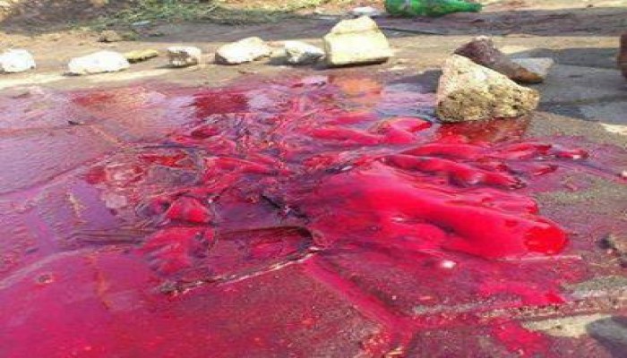 بالفيديو مجزرة التفويض