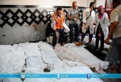 وزير شؤون الاتحاد الأوروبي:‬ يدين مجزرة المنصة وينتقد موقف وسائل الإعلام الغربية من الحادث