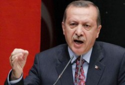 أردوغان يهاجم "الأوروبي" لموقفه إزاء مجازر الأمن في مصر