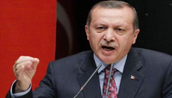 أردوغان يهاجم "الأوروبي" لموقفه إزاء مجازر الأمن في مصر