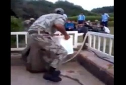 بالفيديو .. الشرطة تطلق النار على جنود الجيش في حديقة النصب التذكاري