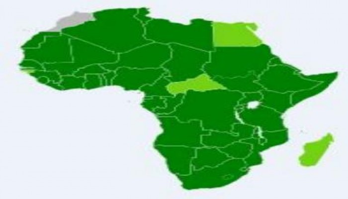 وفد من الاتحاد الإفريقى يزور معتصمي رابعة