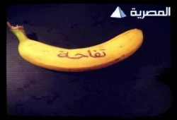 كاريكاتير مصرى