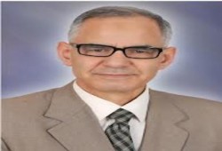 التحالف يوجه دعوة للمنظمات الحقوقية الدولية والصحافة العالمية لزيارة اعتصامي رابعة والنهضة