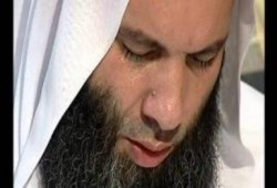 "دموع الشيخ " علي دماء ربما تسفك رائعة حازم سعيد وقراءة في رسالة الشيخ حسان