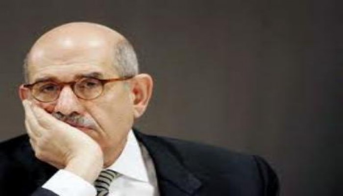 حسام عبد العزيز : تصريحات البرادعي الصحفية تهديد للسيسي