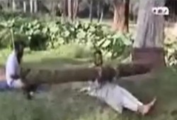 بالفيديو ظهور عنتره ابن شداد بميدان النهضة