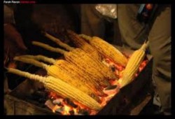 مواقف وخواطر من ميدان العزة والشرف " هنا  رابعه "