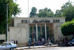 مسيرة بالالاف لمتعصمي النهضة تجوب حديقة الحيوان ضمن فاعليات عيد النصر