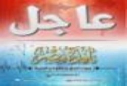 استغاثة لبداية الزحف الثوري الشعبي إلي رابعة لنجدة المصريين
