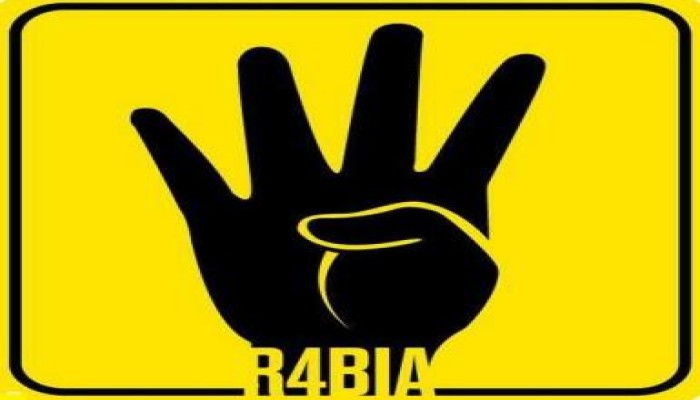 فعاليات الاسكندرية تبدأ بعد صلاة المغرب