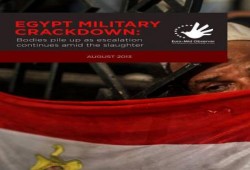 الأورومتوسطي يدعو لمحاكمة مرتكبي "جرائم ضد الإنسانية" في مصر