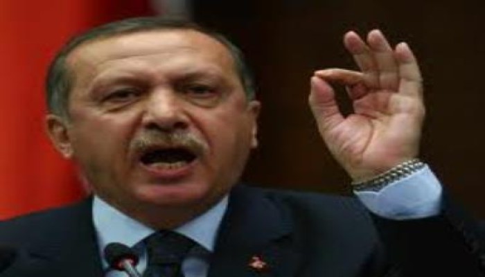 أردوغان: المصريون يريدون استعادة شرف أصواتهم ولن نقبل بالانقلاب