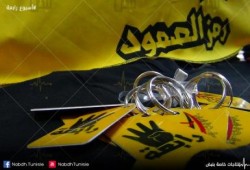 حديقة رابعة - منتجات رابعة - داتا شو رابعة ... فعاليات اسبوع صمود رابعة في "تونس"