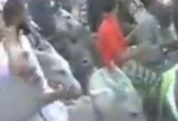 مسيرة بال"حمير" من قرية دلجا محافظة المنيا رفضا للانقلاب العسكرى