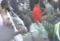 مسيرة بال"حمير" من قرية دلجا محافظة المنيا رفضا للانقلاب العسكرى