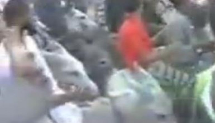 مسيرة بال"حمير" من قرية دلجا محافظة المنيا رفضا للانقلاب العسكرى