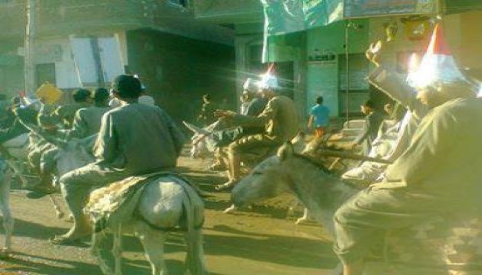 "تقليعات الصعايدة" مظاهرة بالطراطير ... والحمير