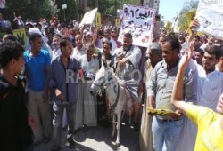 متظاهرو الفيوم يركبون ‘‘حمار سيسي‘‘ في مليونية  الشعب يحمي ثورته
