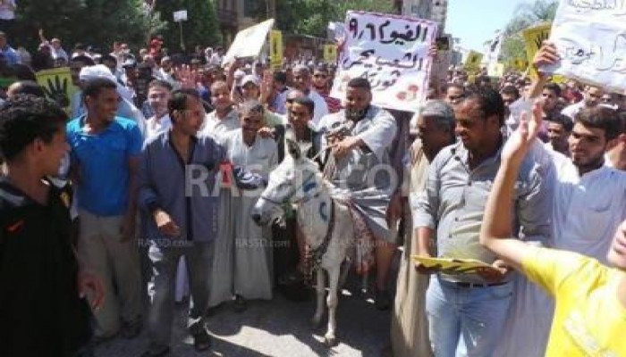 متظاهرو الفيوم يركبون ‘‘حمار سيسي‘‘ في مليونية  الشعب يحمي ثورته
