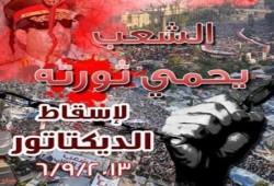 حصر أولي لأعداد المتظاهرين اليوم أكثر من 6 مليون متظاهر