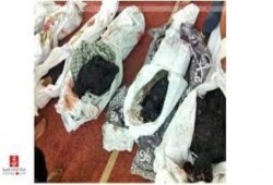 شتان بين الأحرار وبين عبيد البيادة  ؟