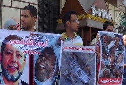 ملف مصور عن فعاليات مدينة طنطا