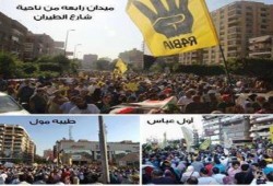 بالفيديو .. يوم الصدمة .. الفلول يعترفون بضخامة المظاهرات اليوم 13-9