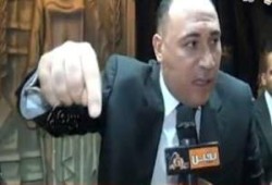 الملاحقات السيا قضائية
