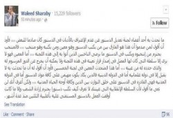 وليد شرابى يكتب هذا هو الفرق بين من يكتب دستور وهو منتخب ومن يكتب دستور وهو معين !!