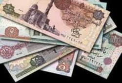 "اقتصاديون ضد الانقلاب": قرار "التسعيرة الجبرية" فاشل ويستحيل تنفيذه