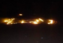 صورة وتعليق .. إبداعات الشباب