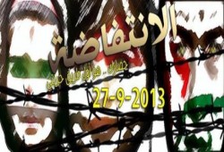 محافظات مصر انتفض في الأسبوع الثاني من الشباب عماد الثورة