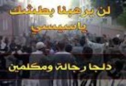 محمد حسين محمد يكتب "دلجا تنزف"