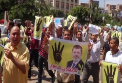 محافظات مصر وجامعاتها تنتفض دعما للشرعية