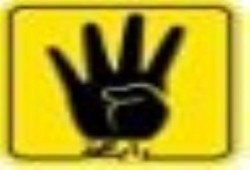 انتفاضة طلابية بجامعات ومدارس مصر