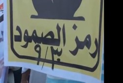 تظاهرات حاشدة في مدينة طنطا رفضا للانقلاب