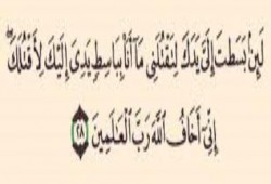 متظاهر يروي قصته اليوم مع آية من كتاب الله