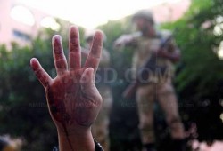 أم شهيد: لآخر لحظه كنت مصدقه التلفزيون المصري (فيديو)