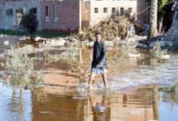 غرق 150 فدانا و50 منزلا ومئات من رؤوس الماشية في انهيار "جسر الصف"