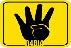 مركز حقوقي انقلابي يعترف بجرائم العسكر .. ويطالب باصدار  4 قوانين لحظر التمييز والتعذيب