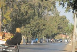 بالصور سلسلة بشرية بمدخل مدينة كفر الشيخ لرافضي الانقلاب الدموي