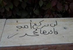 تغطية مصورة لفعاليات بنات جامعة الازهر داخل المدينة الجامعية لرفض الانقلاب