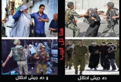 ناجية من الاعتقال تروي ما حدث مع طالبات الإسكندرية صباح الخميس