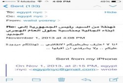 الجالية المصرية بالخارج ترد علي  الإنقلابيين تهانيهم وغير معترفة بالطرطور