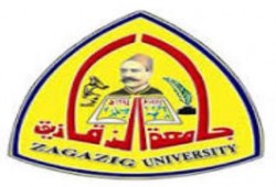 إضراب طلاب جامعة الزقازيق عن الدراسة